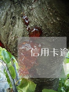 信用卡逾期还个人账户查询