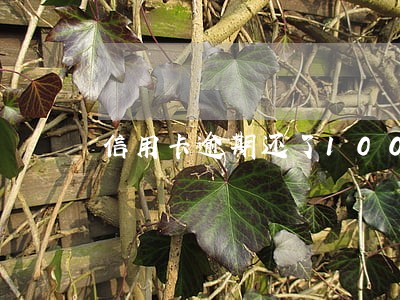 信用卡逾期还了100 信用卡逾期还了100