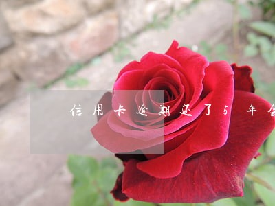 信用卡逾期还了5年会恢复吗 信用卡逾期还了5年会恢复吗