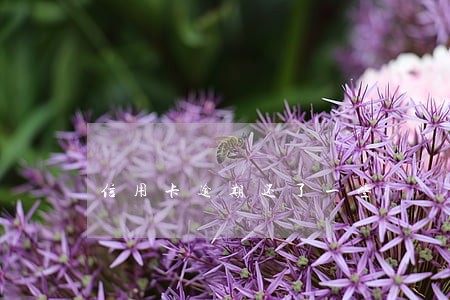 信用卡逾期还了一些