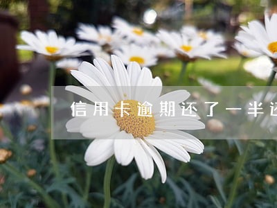 信用卡逾期还了一半还来开庭