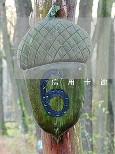 信用卡逾期还了一天了怎么办
