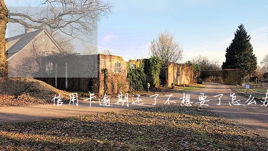 信用卡逾期还了不想要了怎么办