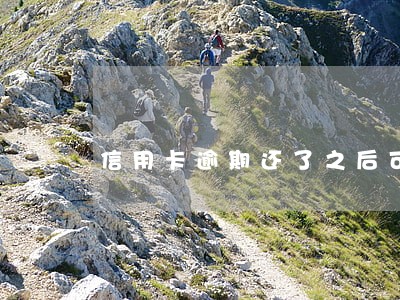 信用卡逾期还了之后可以刷吗 信用卡逾期还了之后可以刷吗