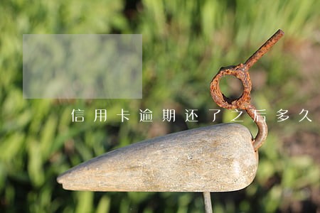 信用卡逾期还了之后多久还能用
