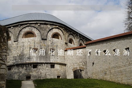 信用卡逾期还了什么是消除征信 信用卡逾期还了什么是消除征信