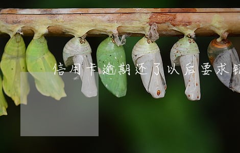 信用卡逾期还了以后要求销户 信用卡逾期还了以后要求销户