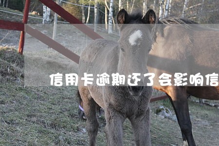 信用卡逾期还了会影响信用嘛 信用卡逾期还了会影响信用嘛