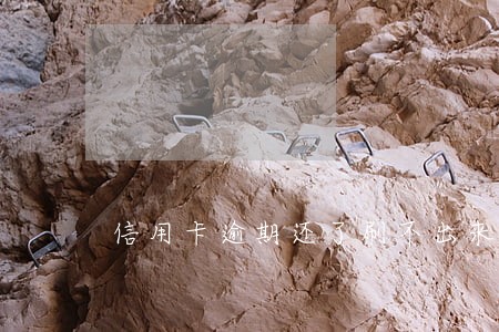 信用卡逾期还了刷不出来 信用卡逾期还了刷不出来