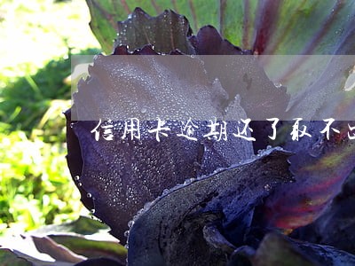 信用卡逾期还了取不出来 信用卡逾期还了取不出来