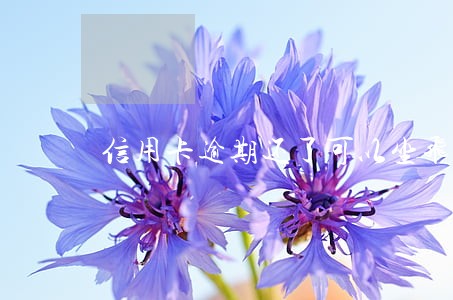 信用卡逾期还了可以坐飞机嘛