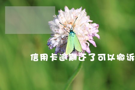 信用卡逾期还了可以撤诉吗 信用卡逾期还了可以撤诉吗