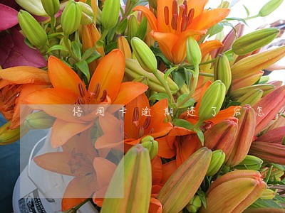 信用卡逾期还了后怎么办 信用卡逾期还了后怎么办