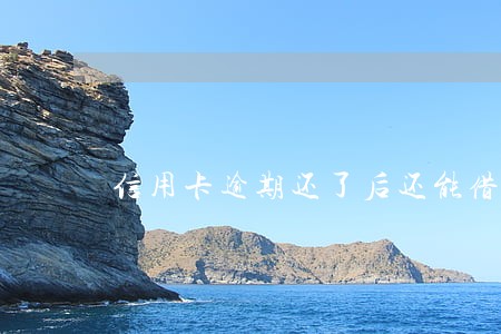信用卡逾期还了后还能借钱吗 信用卡逾期还了后还能借钱吗
