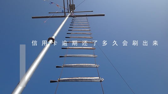 信用卡逾期还了多久会刷出来 信用卡逾期还了多久会刷出来