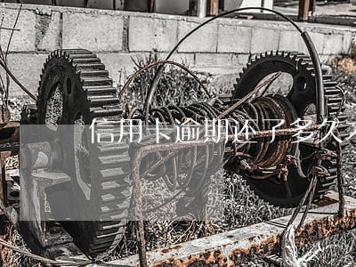 信用卡逾期还了多久才能用 信用卡逾期还了多久才能用