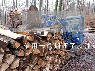 信用卡逾期还了就注销 信用卡逾期还了就注销