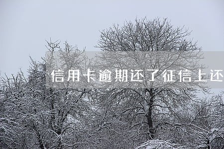 信用卡逾期还了征信上还有吗 信用卡逾期还了征信上还有吗
