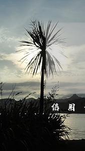 信用卡逾期还了怎么拿回本金 信用卡逾期还了怎么拿回本金