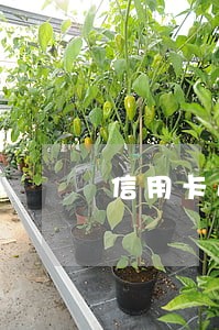 信用卡逾期还了怎么还收到账单 信用卡逾期还了怎么还收到账单