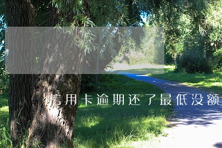 信用卡逾期还了最低没额度