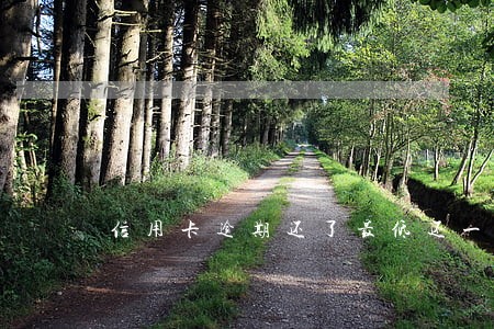 信用卡逾期还了最低还一直催款 信用卡逾期还了最低还一直催款