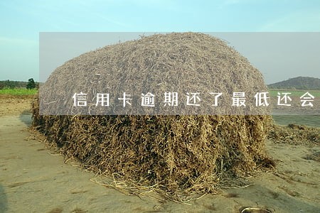 信用卡逾期还了最低还会催吗