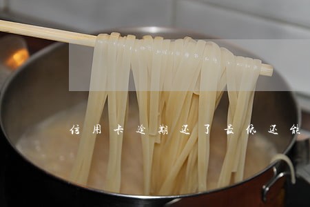 信用卡逾期还了最低还能用吗 信用卡逾期还了最低还能用吗