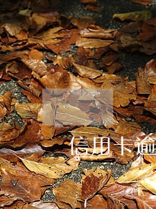 信用卡逾期还了注销了还能再办 信用卡逾期还了注销了还能再办