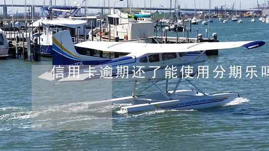 信用卡逾期还了能使用分期乐吗 信用卡逾期还了能使用分期乐吗