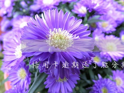 信用卡逾期还了能分期吗
