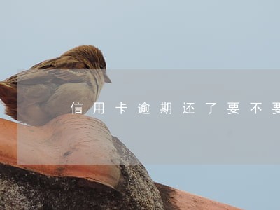信用卡逾期还了要不要紧 信用卡逾期还了要不要紧