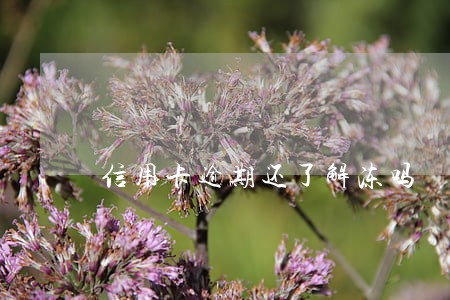 信用卡逾期还了解冻吗 信用卡逾期还了解冻吗