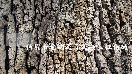 信用卡逾期还了还会上征信吗