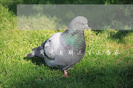 信用卡逾期还了还催收 信用卡逾期还了还催收