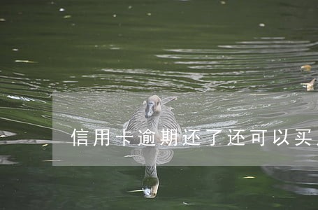 信用卡逾期还了还可以买房吗 信用卡逾期还了还可以买房吗