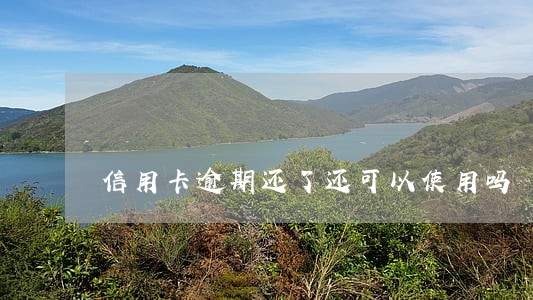 信用卡逾期还了还可以使用吗