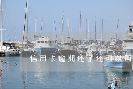 信用卡逾期还了还可以再借吗 信用卡逾期还了还可以再借吗
