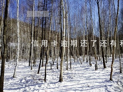 信用卡逾期还了还有利息吗 信用卡逾期还了还有利息吗