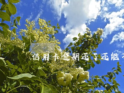 信用卡逾期还了还能不能再用 信用卡逾期还了还能不能再用