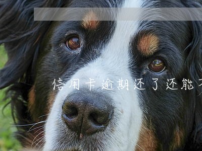 信用卡逾期还了还能不能用 信用卡逾期还了还能不能用