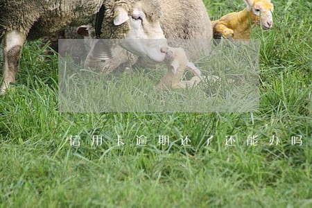 信用卡逾期还了还能办吗 信用卡逾期还了还能办吗