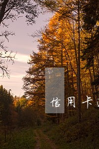 信用卡逾期还了还让我还款 信用卡逾期还了还让我还款