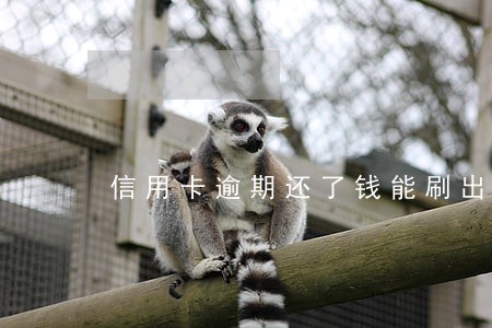 信用卡逾期还了钱能刷出来吗