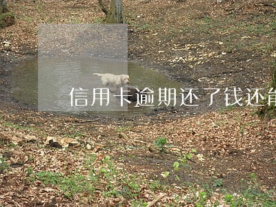 信用卡逾期还了钱还能要回来吗 信用卡逾期还了钱还能要回来吗