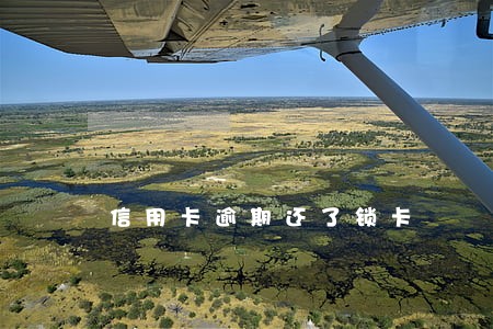 信用卡逾期还了锁卡