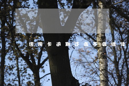 信用卡逾期还会不会继续放款 信用卡逾期还会不会继续放款