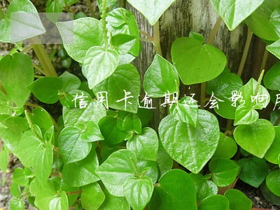 信用卡逾期还会影响房贷办理吗 信用卡逾期还会影响房贷办理吗