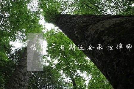 信用卡逾期还会承担律师费吗 信用卡逾期还会承担律师费吗
