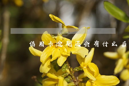 信用卡逾期还会有什么后果 信用卡逾期还会有什么后果
